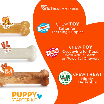 Ultimate Puppy Starter Kit: 3 Chew Toys with Delicious Chicken & Bacon Treats for Small Dogs