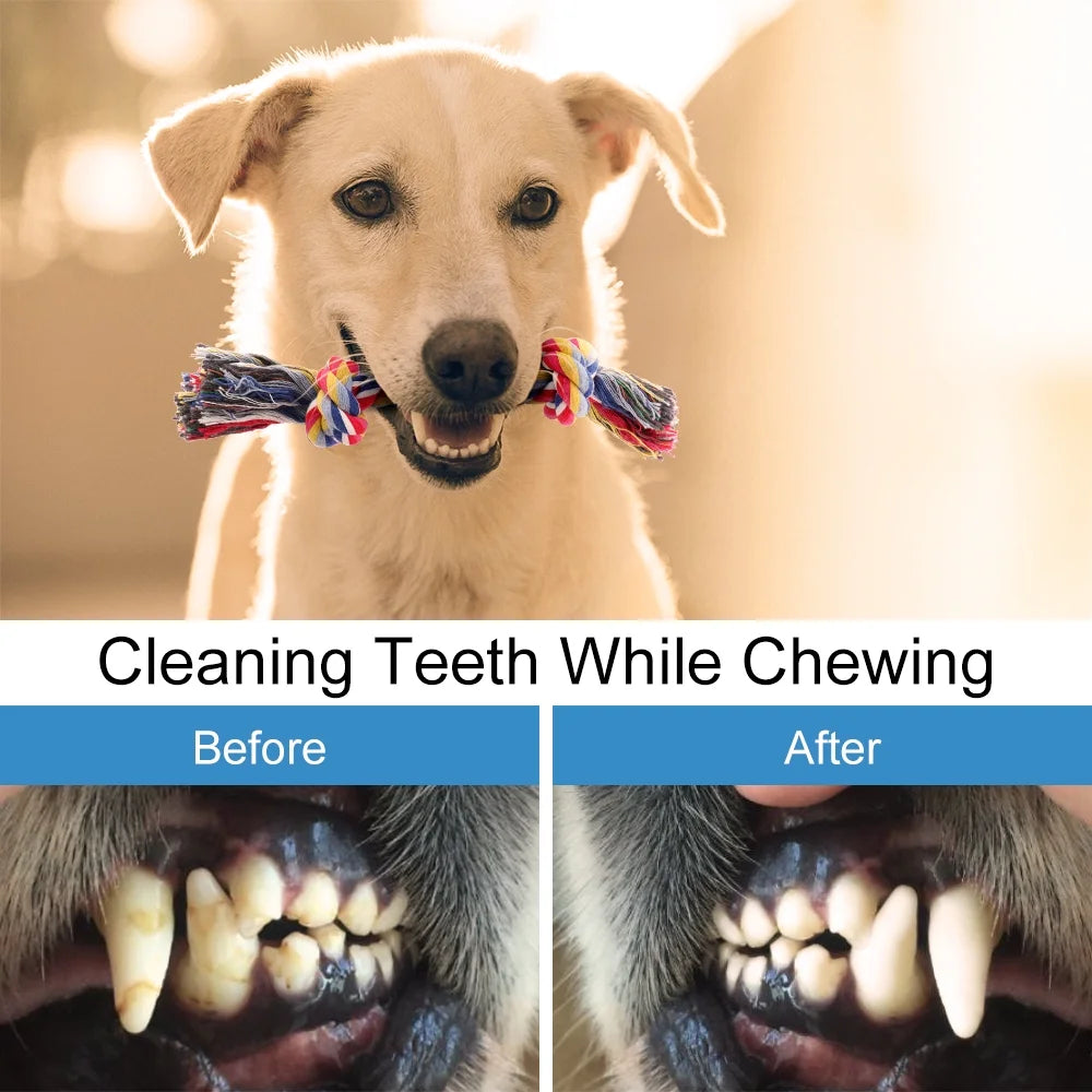 Ultimate 8-Pack Dog Chew Toys for Aggressive Chewers - Tough, Washable Rope Toys for Puppies and Small to Medium Dogs