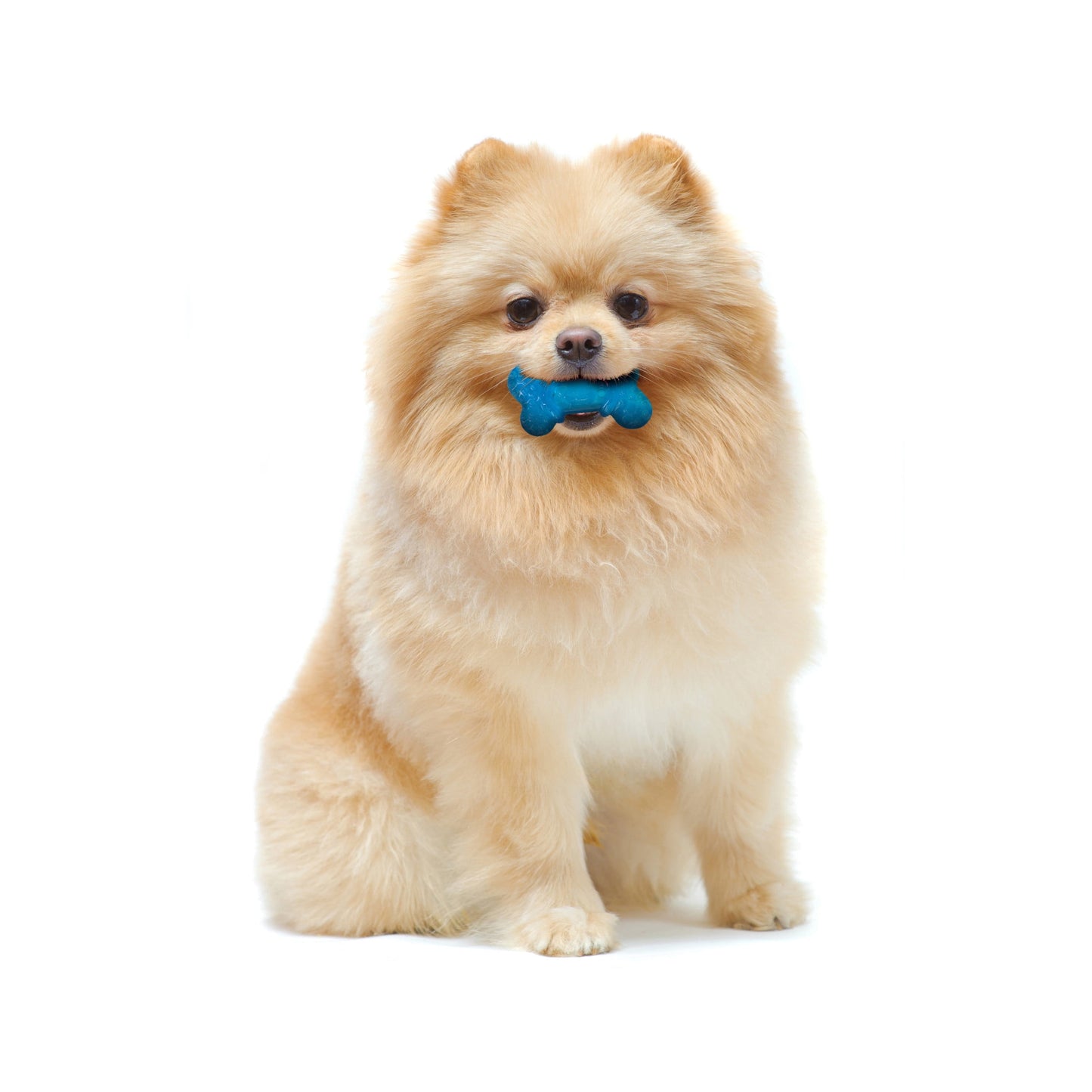 Flexi Chew Bone Dog Toy - Peanut Butter & Bacon Flavor, Xx-Small, 2 Count - Perfect for Small Dogs!