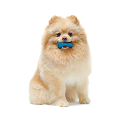 Flexi Chew Bone Dog Toy - Peanut Butter & Bacon Flavor, Xx-Small, 2 Count - Perfect for Small Dogs!