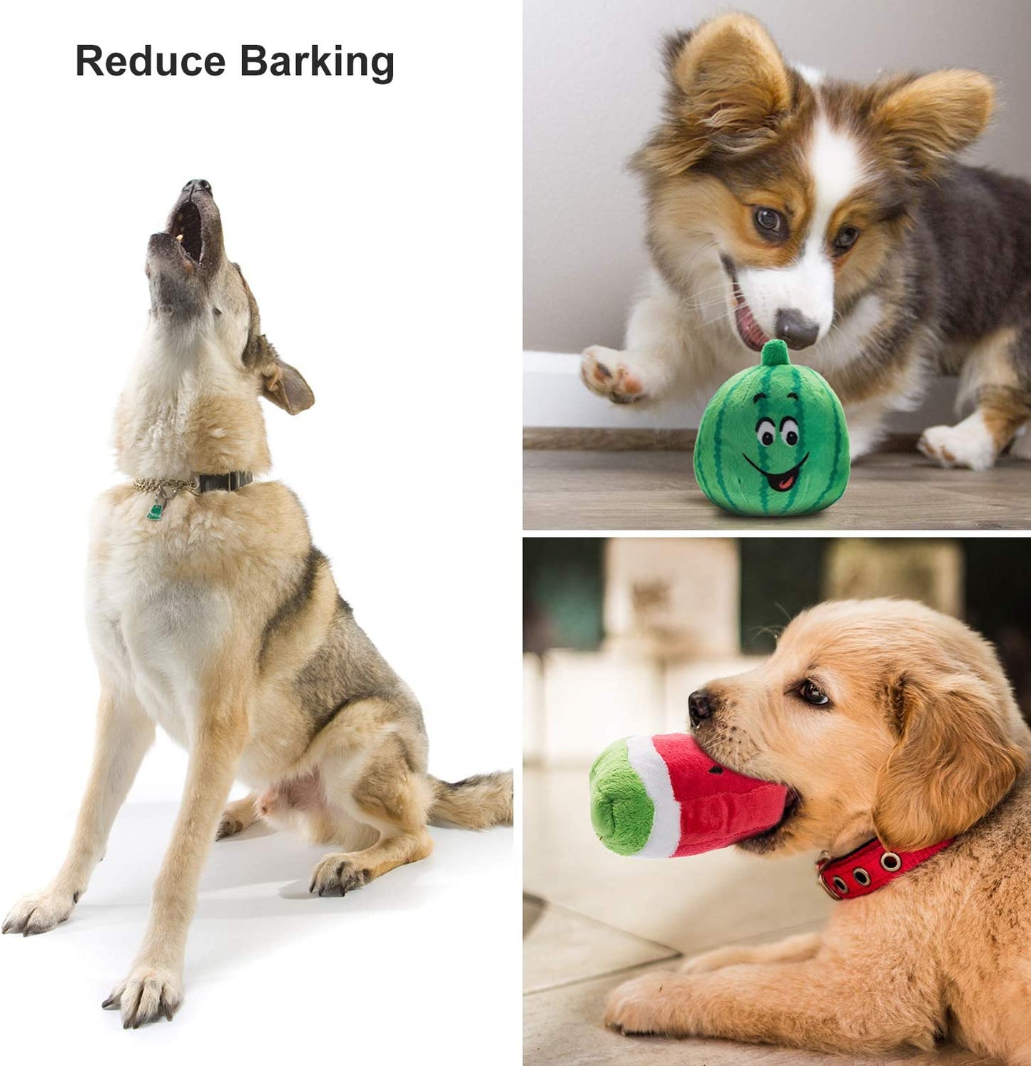 12 Pcs Plush Squeaky Dog Toys Set for Small to Medium Dogs - Includes Carrying Bag!