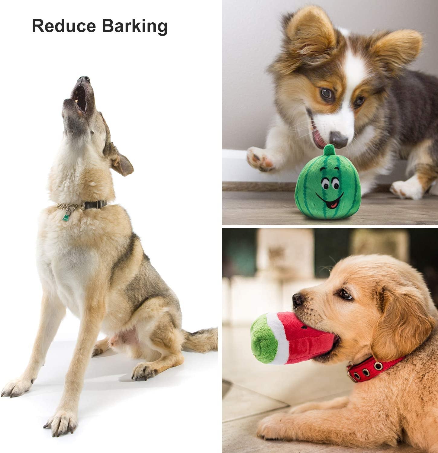 12 Pcs Plush Squeaky Dog Toys Set for Small to Medium Dogs - Includes Carrying Bag!