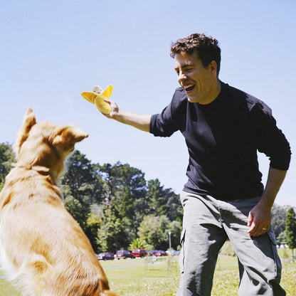 12 Pcs Plush Squeaky Dog Toys Set for Small to Medium Dogs - Includes Carrying Bag!