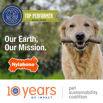 Flexi Chew Bone Dog Toy - Peanut Butter & Bacon Flavor, Xx-Small, 2 Count - Perfect for Small Dogs!