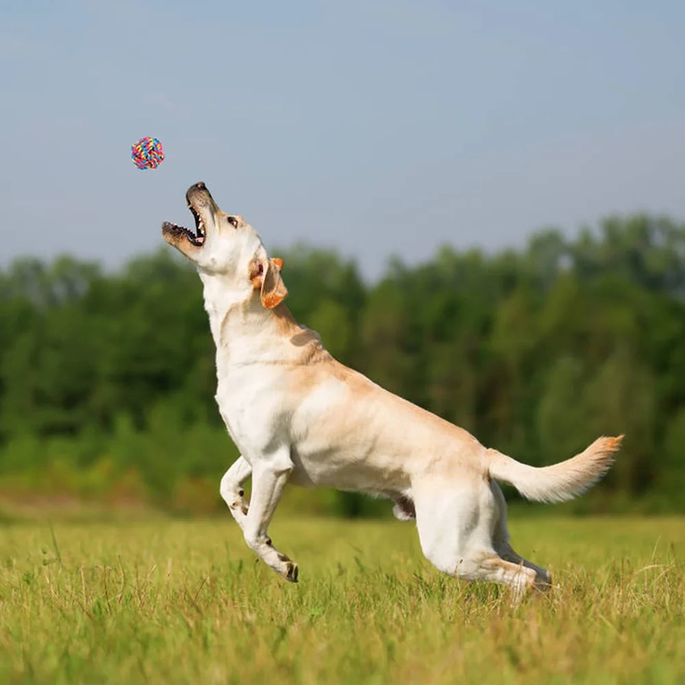 Ultimate 8-Pack Dog Chew Toys for Aggressive Chewers - Tough, Washable Rope Toys for Puppies and Small to Medium Dogs