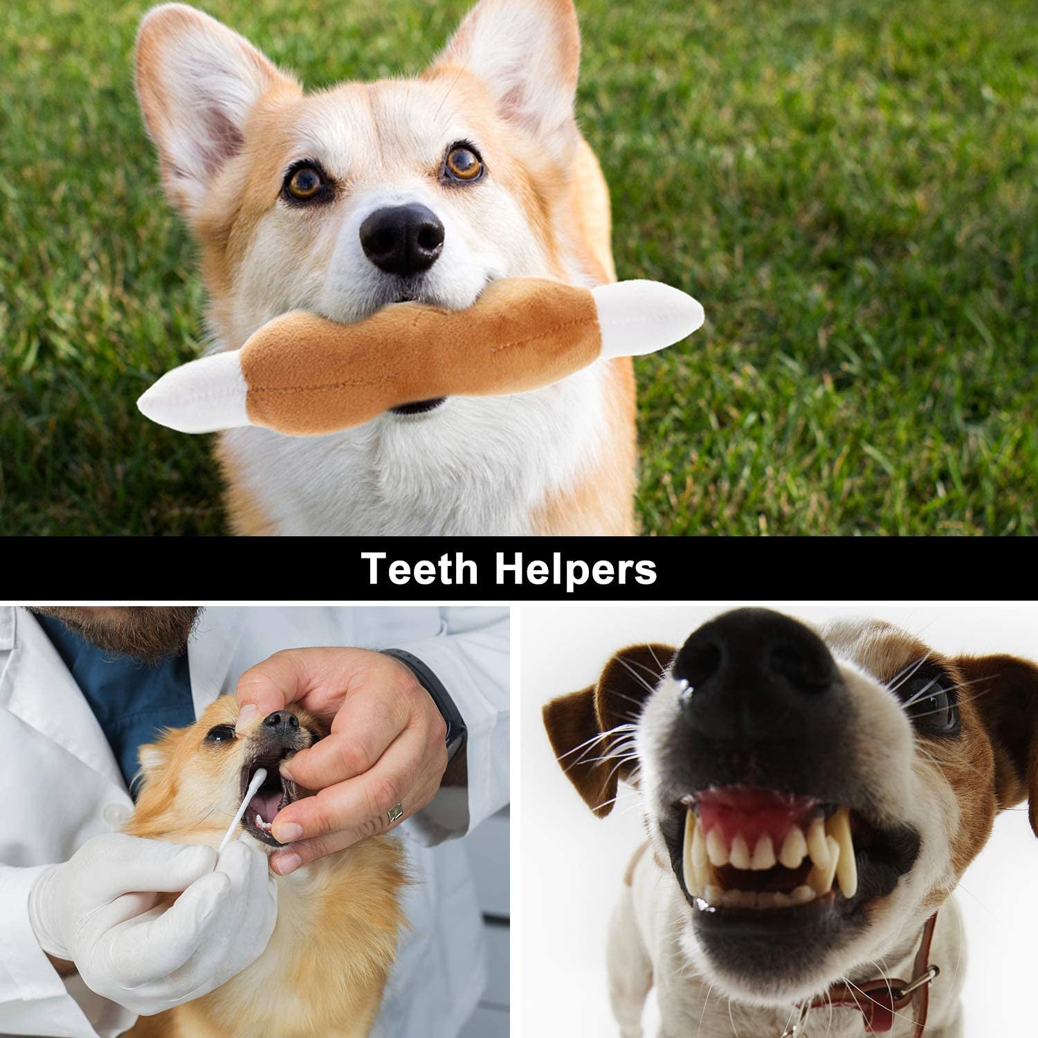 12 Pcs Plush Squeaky Dog Toys Set for Small to Medium Dogs - Includes Carrying Bag!