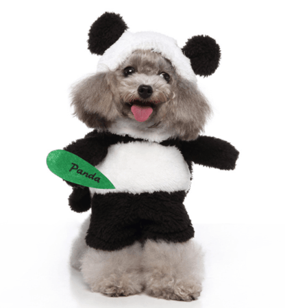 Funny Cosplay Pet Costume Set: Cute Cartoon Dog Outfit For Halloween And Christmas Dress-Up-0