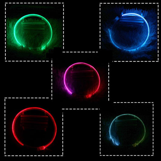 Usb Rechargeable Glow-In-The-Dark Pet Collar With Three Flashing Modes-0