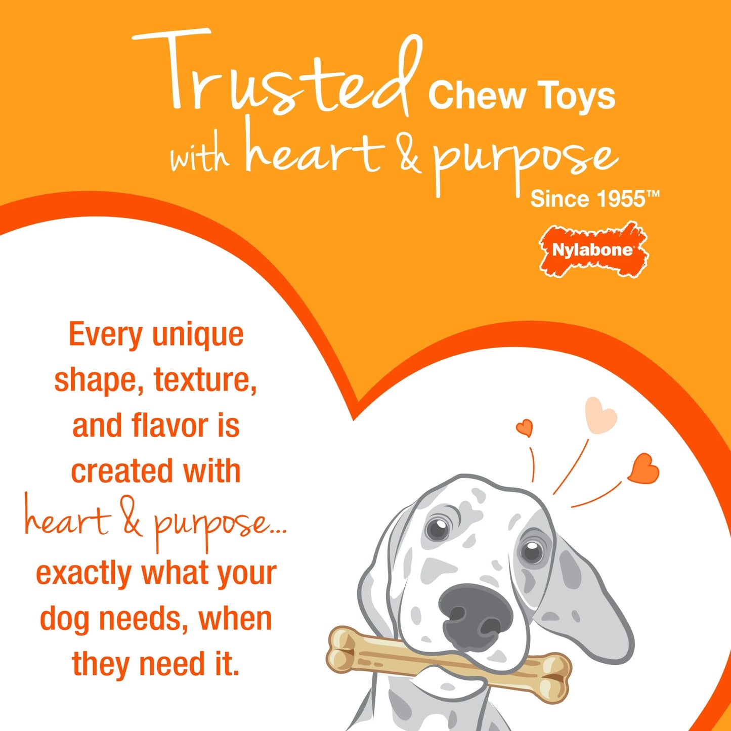 Ultimate Puppy Starter Kit: 3 Chew Toys with Delicious Chicken & Bacon Treats for Small Dogs