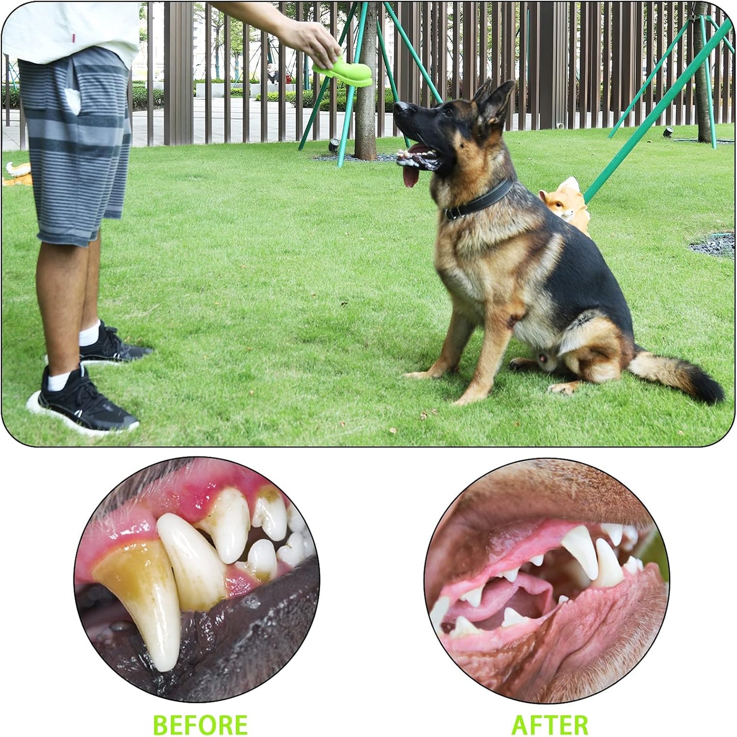 Tough Rubber Squeaky Dog Toy - Shoe Shape for Large Dogs, Cleans Teeth & Reduces Plaque (Grass Green)